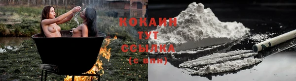 мяу мяу кристалл Переславль-Залесский