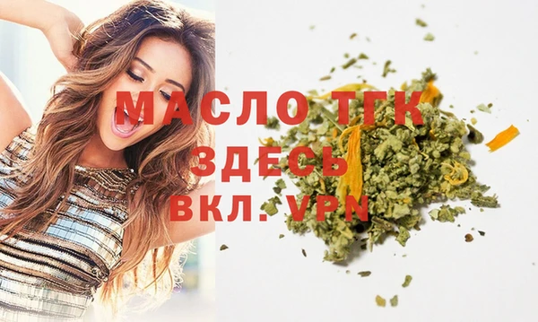 молекула духа Пестово