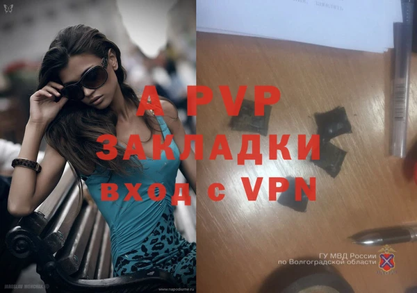 каннабис Осташков