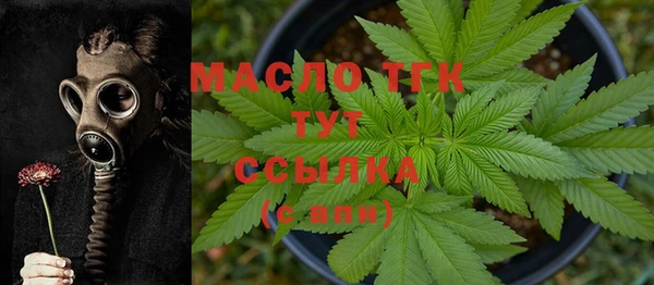 молекула духа Пестово