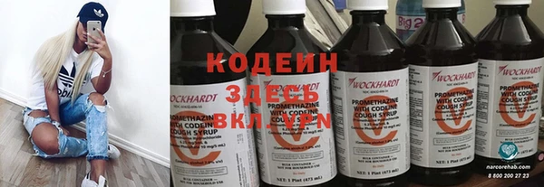 ECSTASY Пересвет