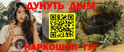 сатива Кандалакша