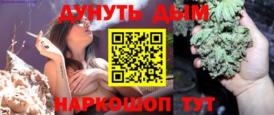 сатива Кандалакша