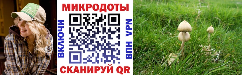 мега как войти  Заинск  Галлюциногенные грибы прущие грибы 