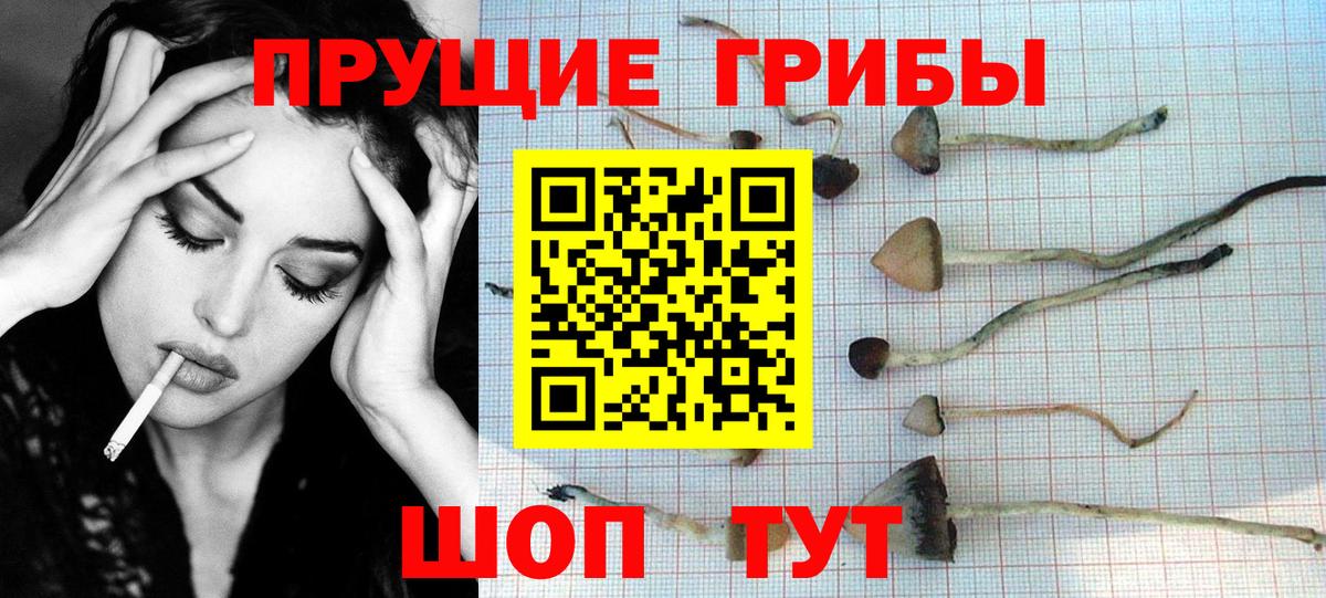 Галлюциногенные грибы GOLDEN TEACHER Заинск
